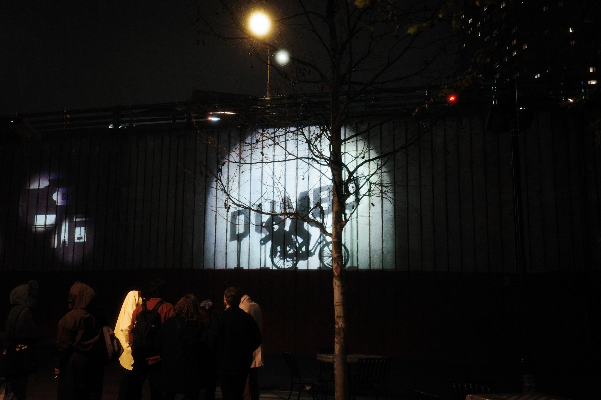 Shadow Theater — photo 2